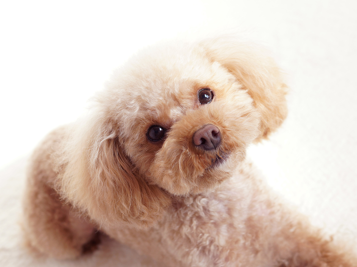 Promoting Yourself with Photos