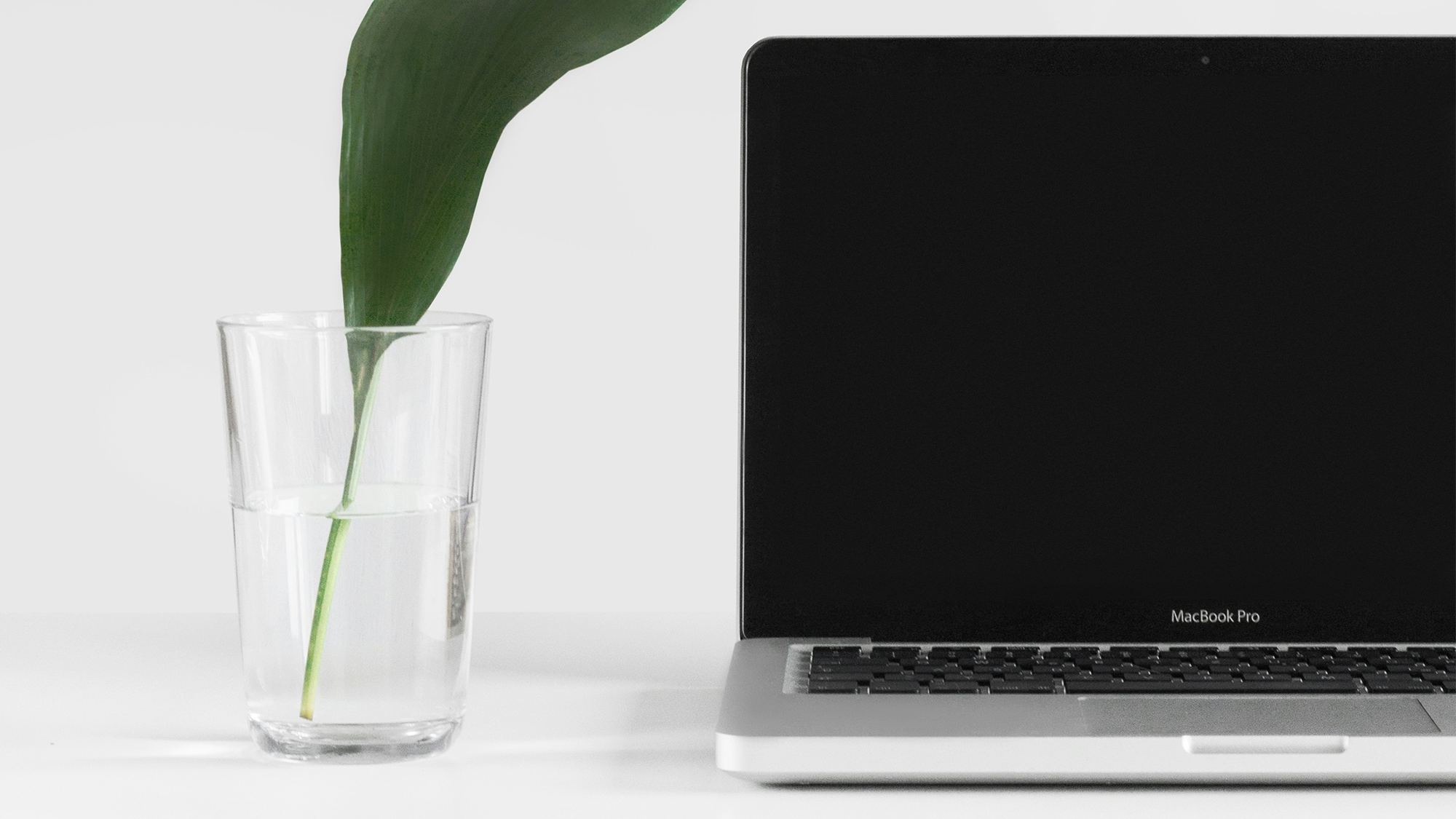 WePage Template Spotlight: Zen Minimal for Clean & Calm Brands